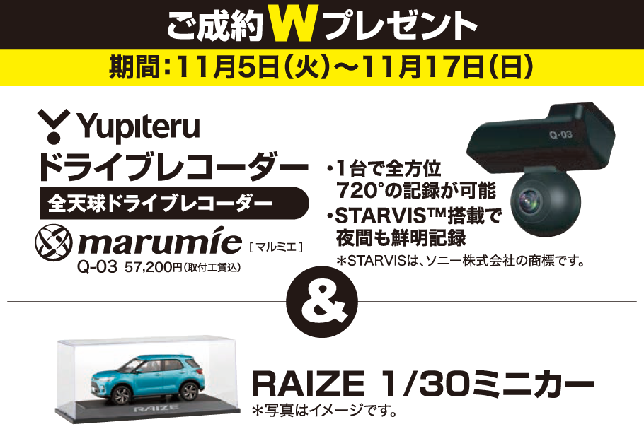 RAIZE_01